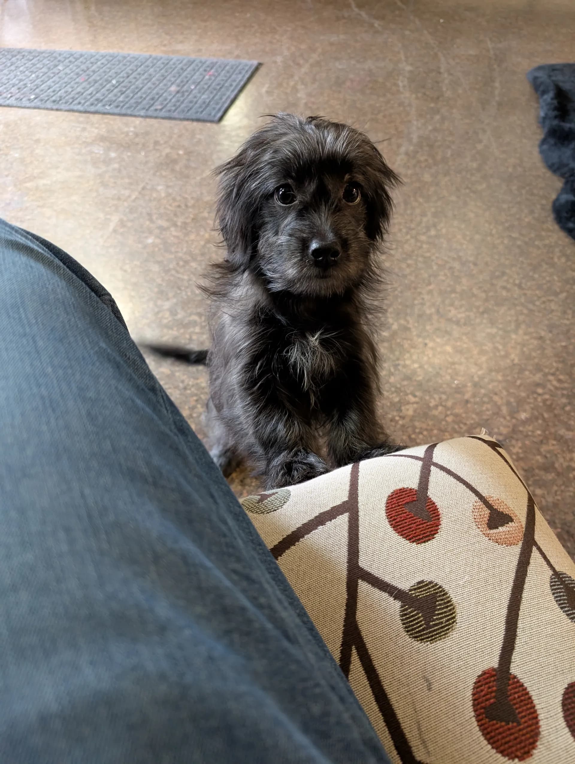 new guy