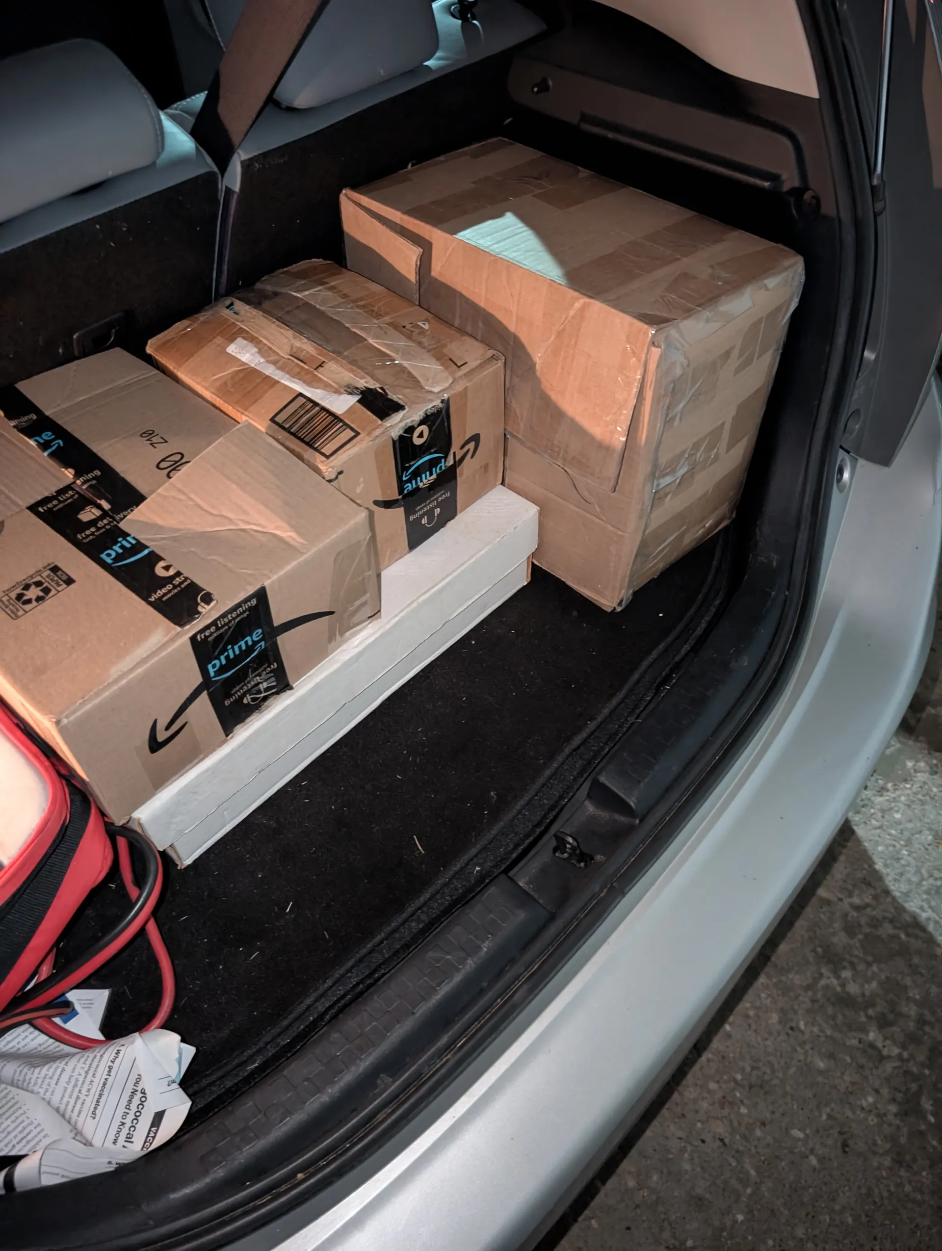 trunk