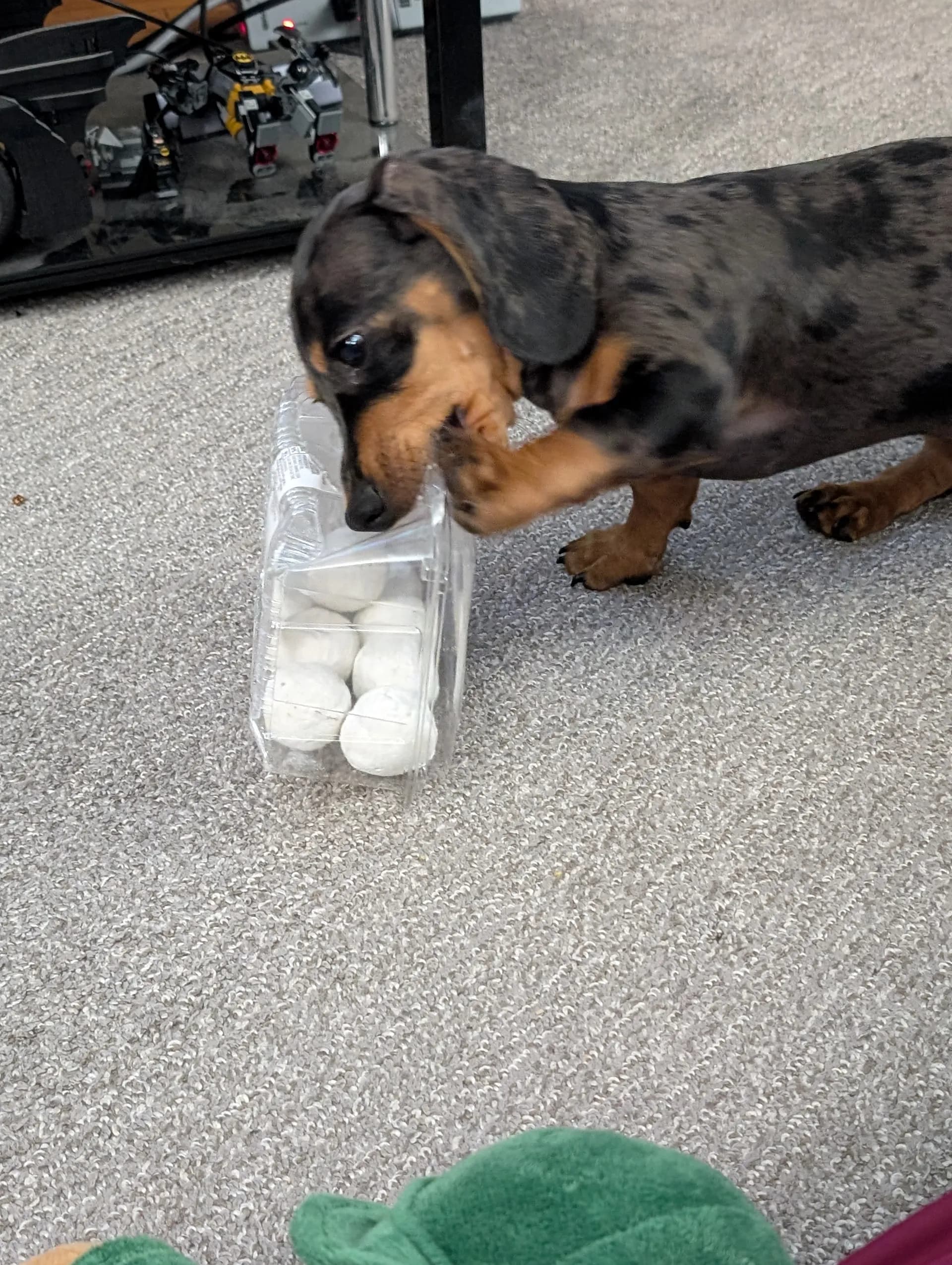 donut 0