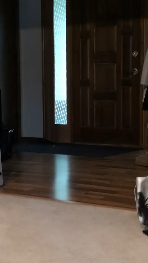 looped animation